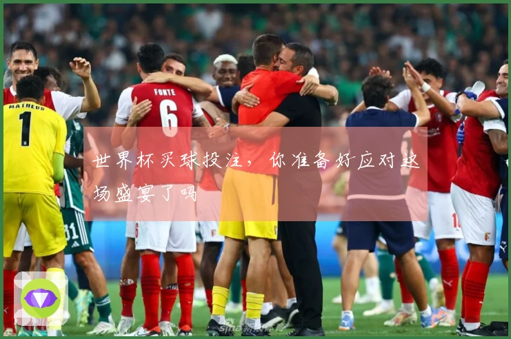 世界杯买球投注，你准备好应对这场盛宴了吗
