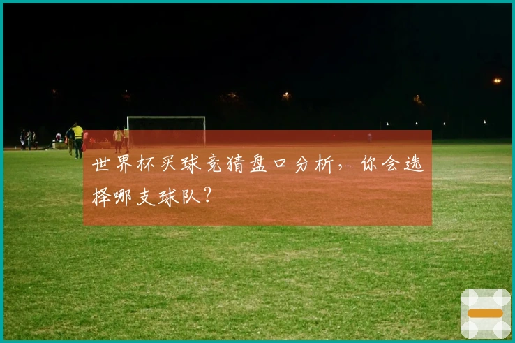 世界杯买球竞猜盘口分析，你会选择哪支球队？