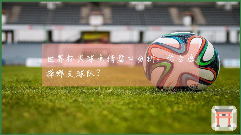 世界杯买球竞猜盘口分析，你会选择哪支球队？