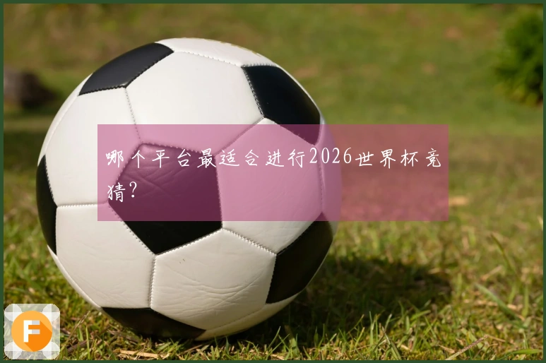哪个平台最适合进行2026世界杯竞猜？