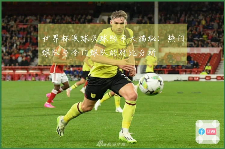 世界杯滚球买球赔率大揭秘：热门球队与冷门球队的对比分析